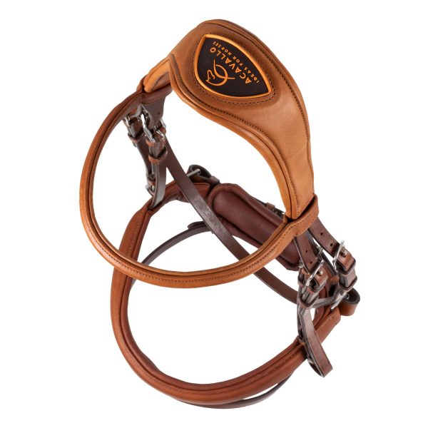 FILOSOFIA LEATHER BRIDLE - immagine 19