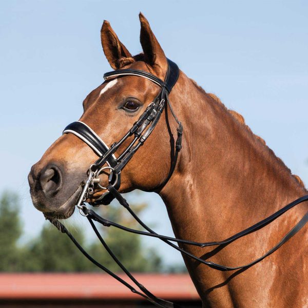 GIOCONDA ROLLED LEATHER DOUBLE REINS BRIDLE