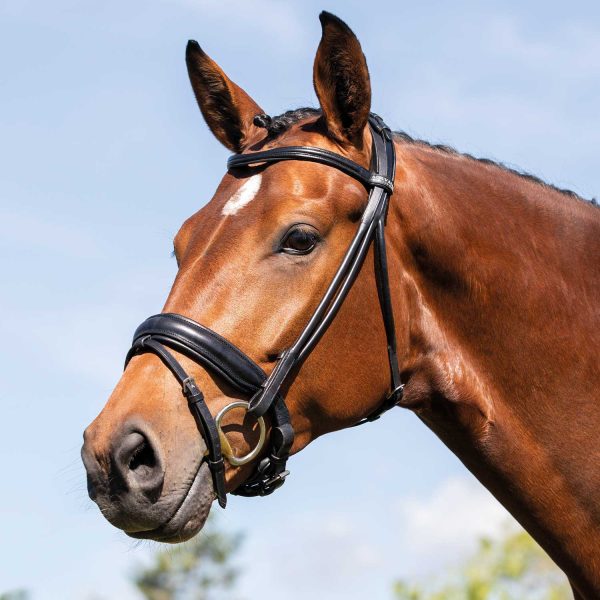 FORNARINA ROLLED LEATHER BRIDLE