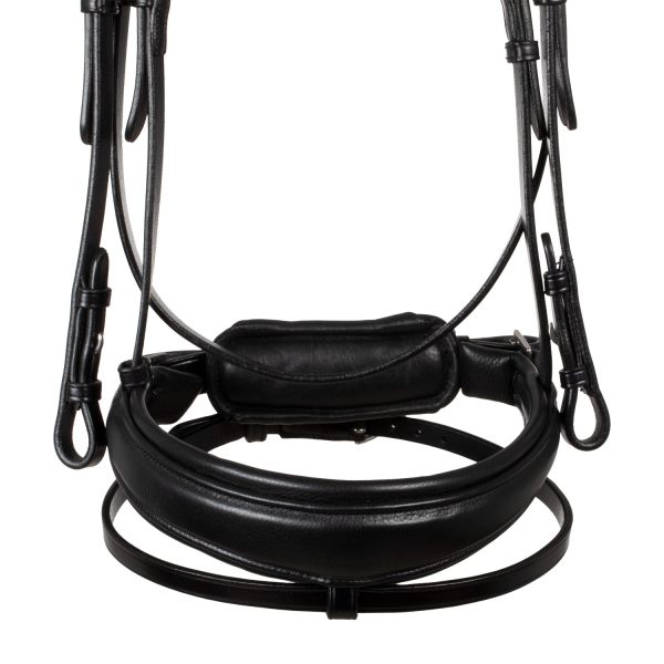 STARRY NIGHT ANATOMIC LEATHER BRIDLE - immagine 7