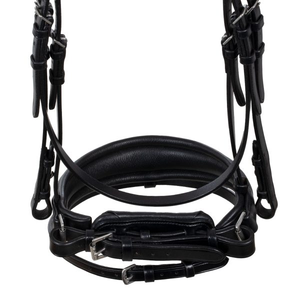 STARRY NIGHT ANATOMIC LEATHER BRIDLE - immagine 8