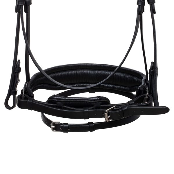 CREAZIONE ANATOMIC LEATHER BRIDLE - immagine 8