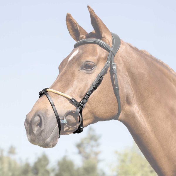 ROPE FLASH NOSEBAND - immagine 6