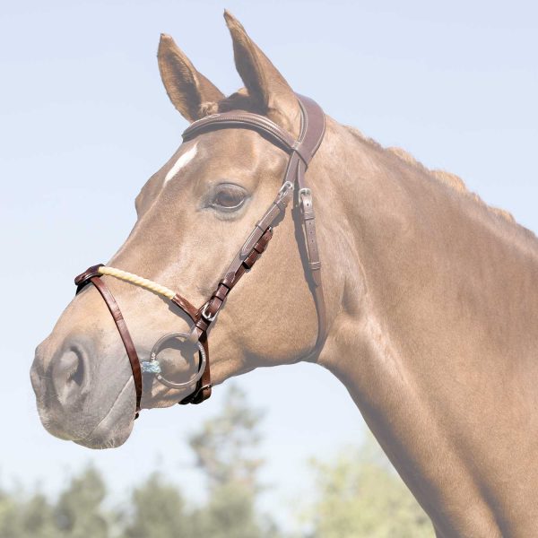 ROPE FLASH NOSEBAND - immagine 11