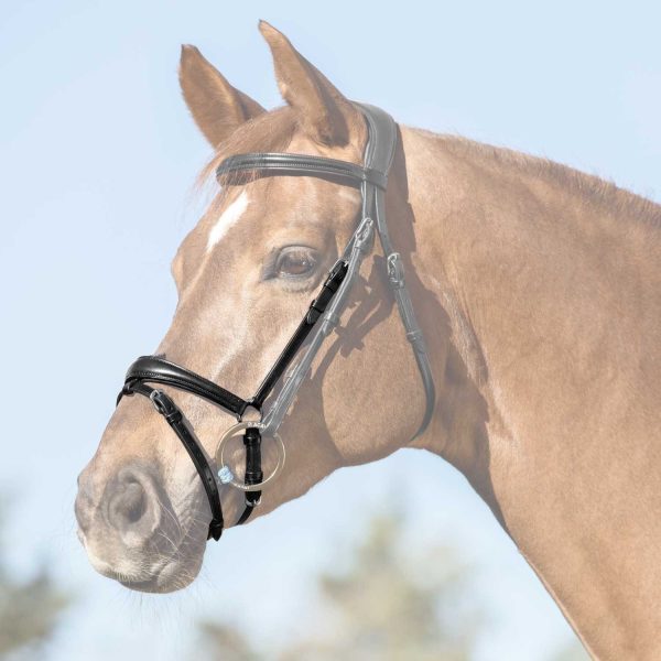 FLASH NOSEBAND - immagine 6