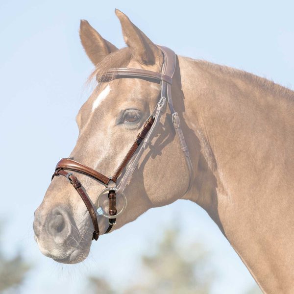 FLASH NOSEBAND - immagine 11