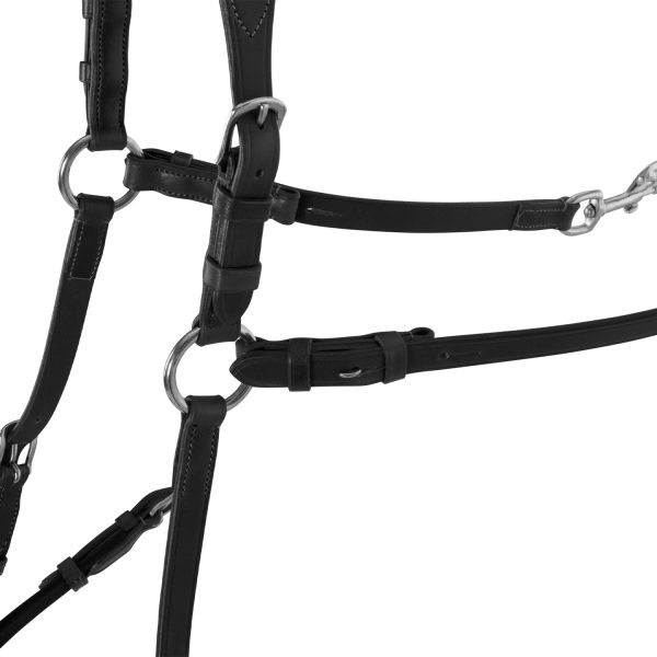 CALFSKIN LEATHER 5 POINT ATTACHMENT BREASTPLATE - immagine 6