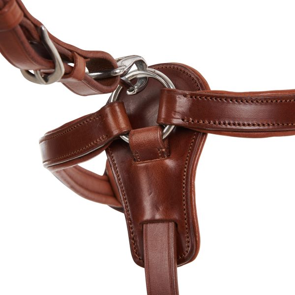 CALFSKIN LEATHER 5 POINT ATTACHMENT BREASTPLATE - immagine 9