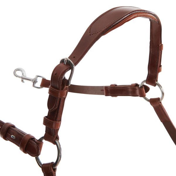 CALFSKIN LEATHER 5 POINT ATTACHMENT BREASTPLATE - immagine 12