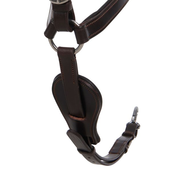 CALFSKIN LEATHER 5 POINT ATTACHMENT BREASTPLATE - immagine 17