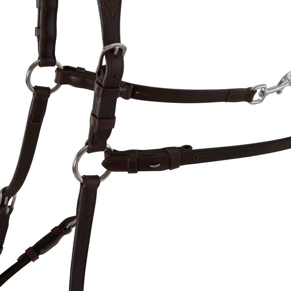 CALFSKIN LEATHER 5 POINT ATTACHMENT BREASTPLATE - immagine 19