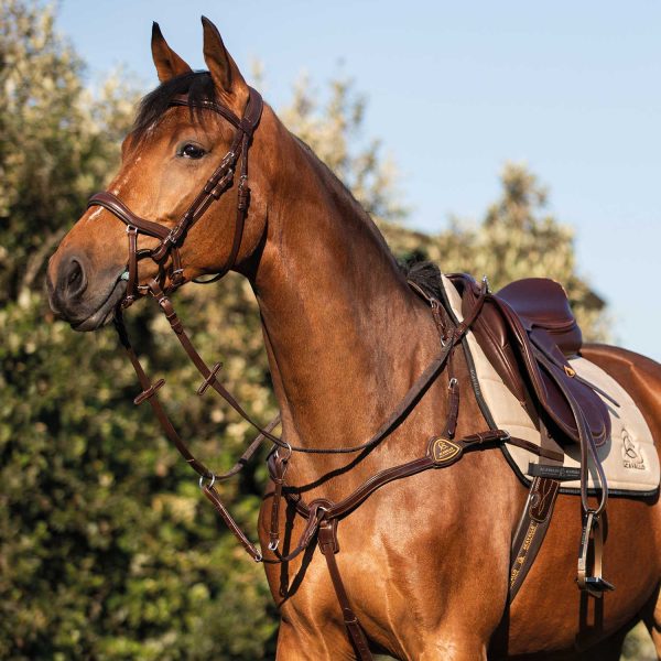 CALFSKIN LEATHER 5 POINT ATTACHMENT BREASTPLATE - immagine 20