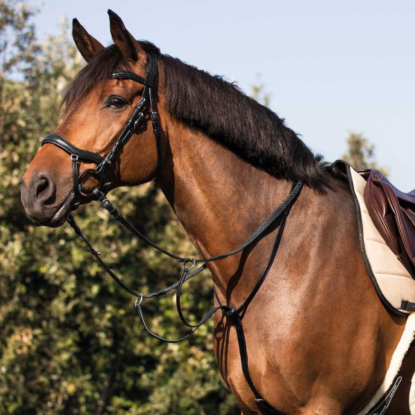 ACAVALLO COW PLAIN MARTINGALE - immagine 7