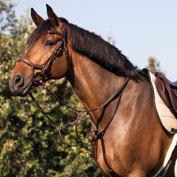 ACAVALLO COW PLAIN MARTINGALE - immagine 13