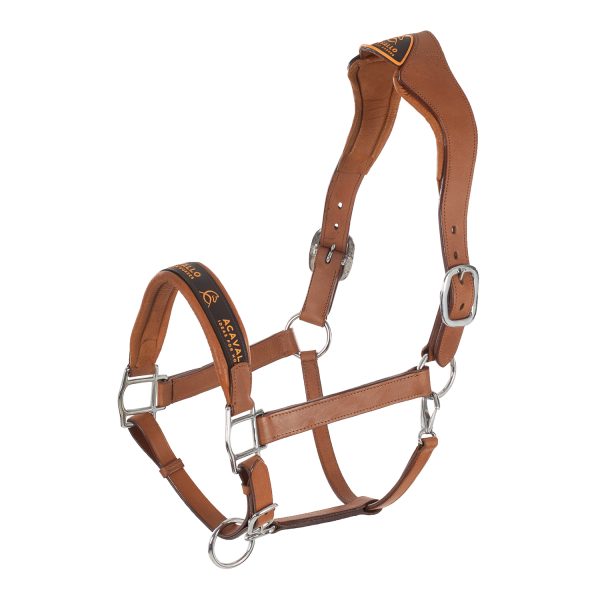 LEATHER HALTER W/ERGONOMIC POLLGUARD - CALFSKIN LINING - immagine 6