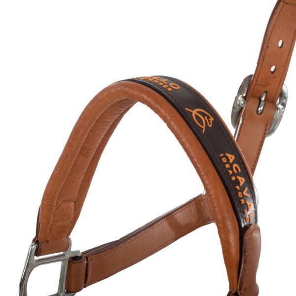 LEATHER HALTER W/ERGONOMIC POLLGUARD - CALFSKIN LINING - immagine 9