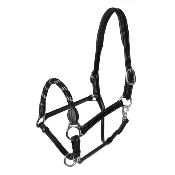 LEATHER HALTER W/ERGONOMIC POLLGUARD - ROPE NOSEBAND - immagine 2