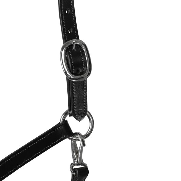 LEATHER HALTER W/ERGONOMIC POLLGUARD - ROPE NOSEBAND - immagine 4