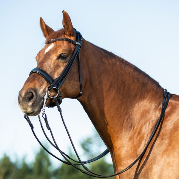 PARNASO ROLLED LEATHER DOUBLE REINS BRIDLE