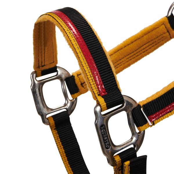 CAVEZZA NYLON EQUESTRO C/LUNGHINA MODELLO RED TRIM - immagine 4