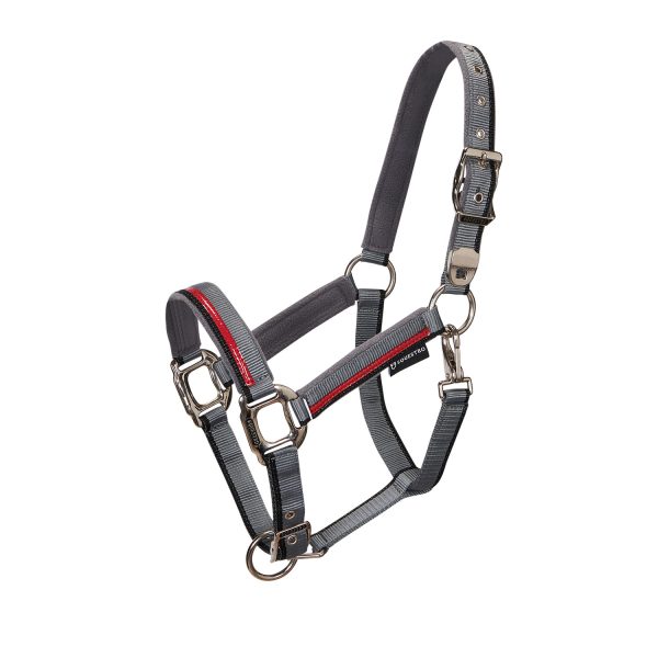 CAVEZZA NYLON EQUESTRO C/LUNGHINA MODELLO RED TRIM - immagine 8