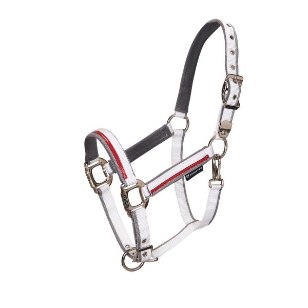 CAVEZZA NYLON EQUESTRO C/LUNGHINA MODELLO RED TRIM - immagine 26