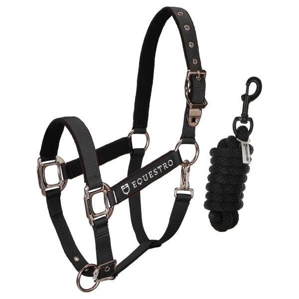 CAVEZZA EQUESTRO C/LUNGHINA MODELLO SHINY FITTINGS