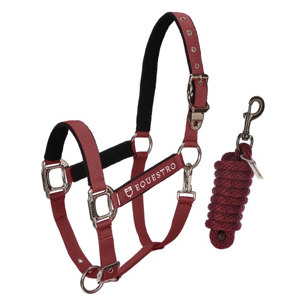 CAVEZZA EQUESTRO C/LUNGHINA MODELLO SHINY FITTINGS - immagine 2