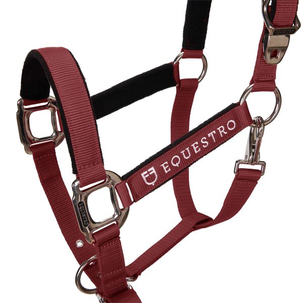 CAVEZZA EQUESTRO C/LUNGHINA MODELLO SHINY FITTINGS - immagine 3