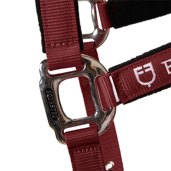 CAVEZZA EQUESTRO C/LUNGHINA MODELLO SHINY FITTINGS - immagine 5