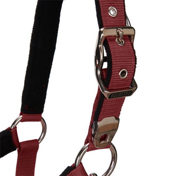 CAVEZZA EQUESTRO C/LUNGHINA MODELLO SHINY FITTINGS - immagine 6