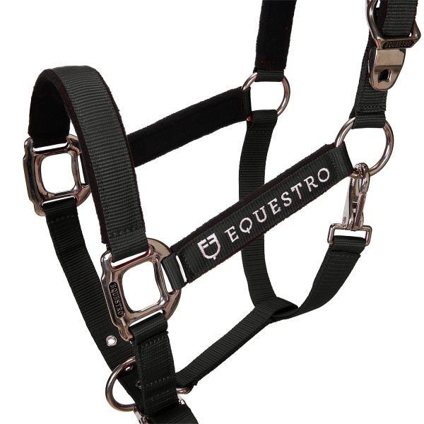 CAVEZZA EQUESTRO C/LUNGHINA MODELLO SHINY FITTINGS - immagine 10