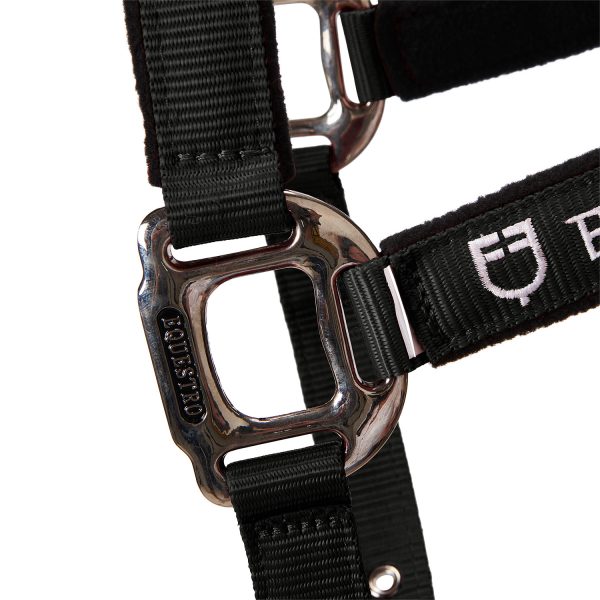 CAVEZZA EQUESTRO C/LUNGHINA MODELLO SHINY FITTINGS - immagine 12