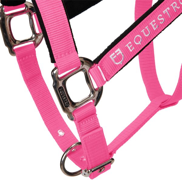 CAVEZZA EQUESTRO C/LUNGHINA MODELLO SHINY FITTINGS - immagine 22