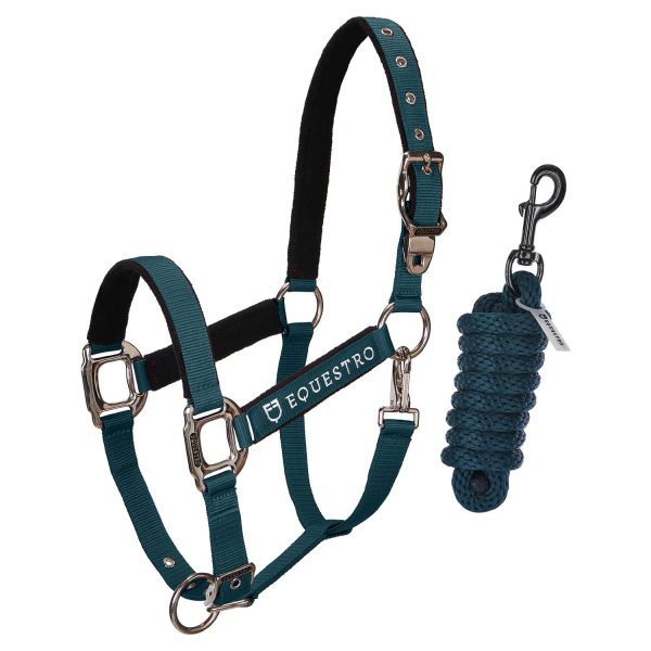 CAVEZZA EQUESTRO C/LUNGHINA MODELLO SHINY FITTINGS - immagine 23