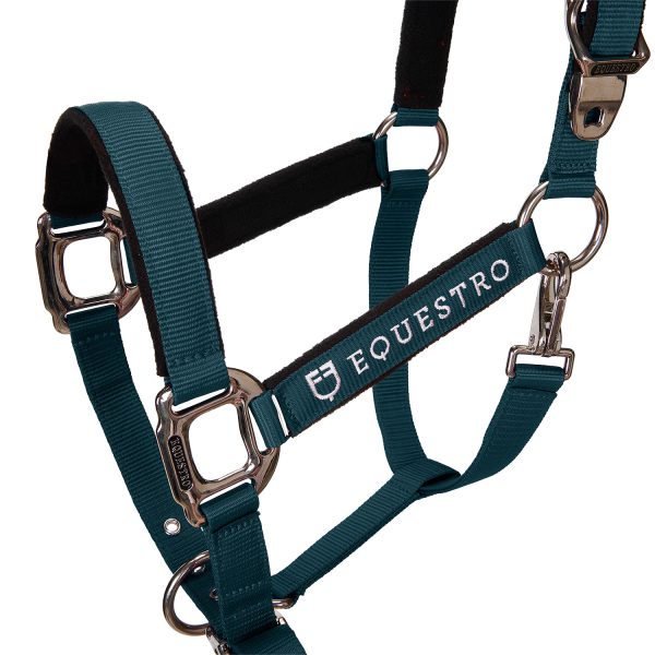 CAVEZZA EQUESTRO C/LUNGHINA MODELLO SHINY FITTINGS - immagine 24