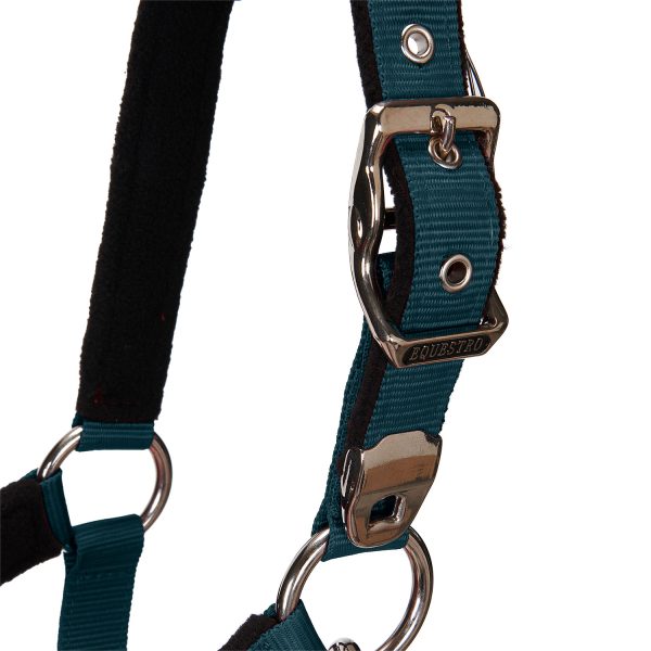 CAVEZZA EQUESTRO C/LUNGHINA MODELLO SHINY FITTINGS - immagine 27