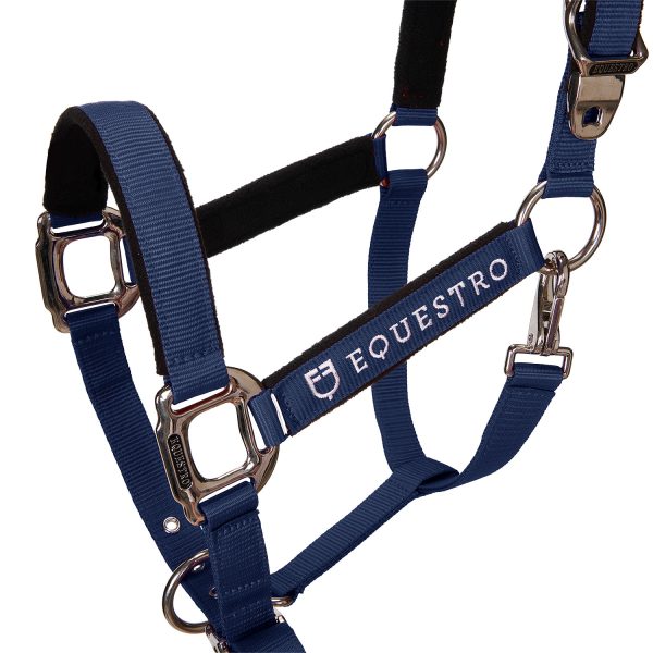 CAVEZZA EQUESTRO C/LUNGHINA MODELLO SHINY FITTINGS - immagine 38