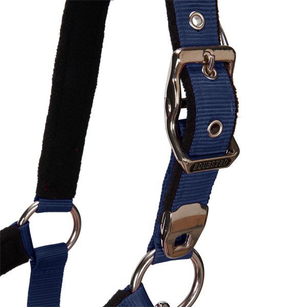 CAVEZZA EQUESTRO C/LUNGHINA MODELLO SHINY FITTINGS - immagine 41