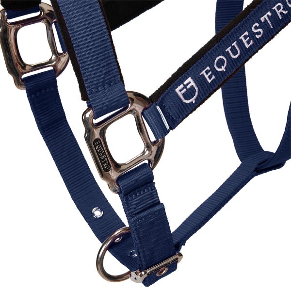 CAVEZZA EQUESTRO C/LUNGHINA MODELLO SHINY FITTINGS - immagine 43