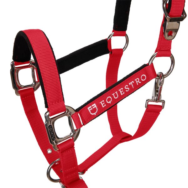 CAVEZZA EQUESTRO C/LUNGHINA MODELLO SHINY FITTINGS - immagine 45