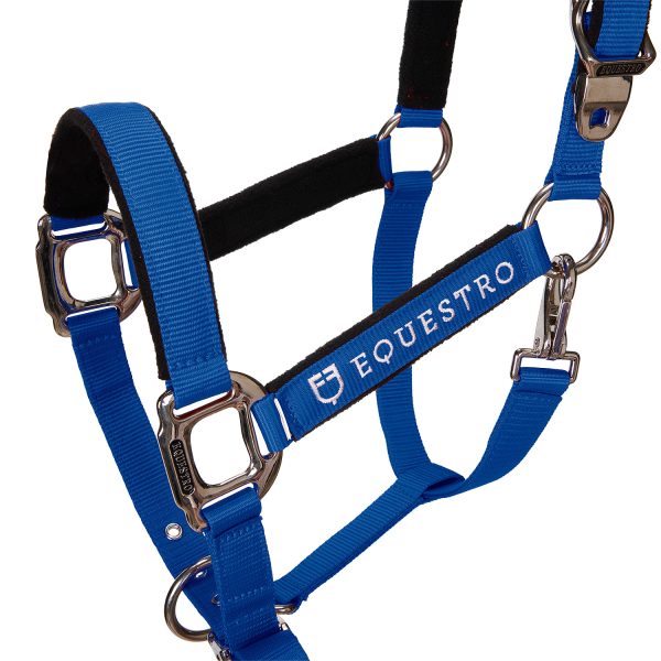 CAVEZZA EQUESTRO C/LUNGHINA MODELLO SHINY FITTINGS - immagine 52