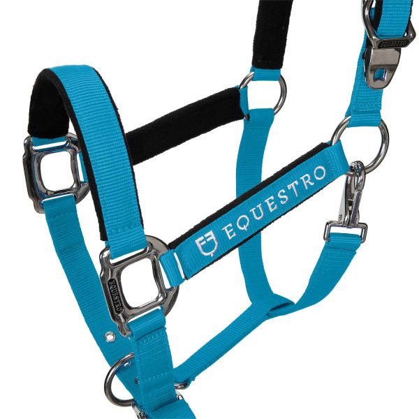 CAVEZZA EQUESTRO C/LUNGHINA MODELLO SHINY FITTINGS - immagine 59