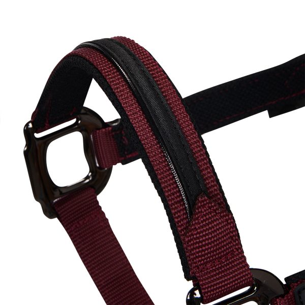 CAVEZZA NYLON EQUESTRO C/LUNGHINA MODELLO ELEGANCE - immagine 4