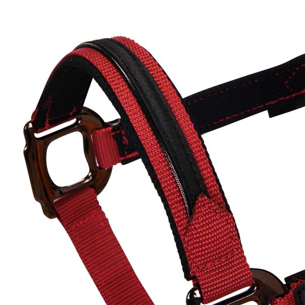 CAVEZZA NYLON EQUESTRO C/LUNGHINA MODELLO ELEGANCE - immagine 32