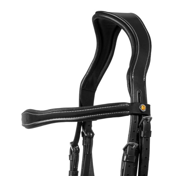 LOGO ANATOMIC LEATHER BRIDLE - immagine 5