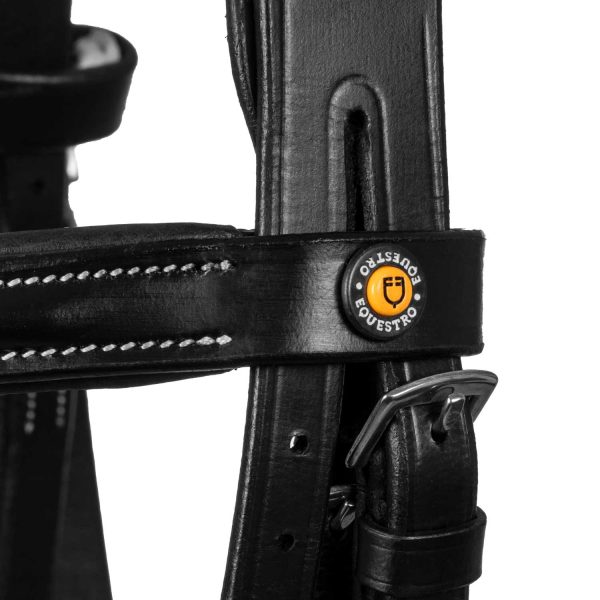 LOGO ANATOMIC LEATHER BRIDLE - immagine 6