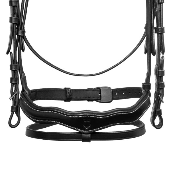 LOGO ANATOMIC LEATHER BRIDLE - immagine 7