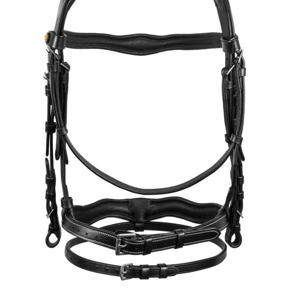 LOGO ANATOMIC LEATHER BRIDLE - immagine 8