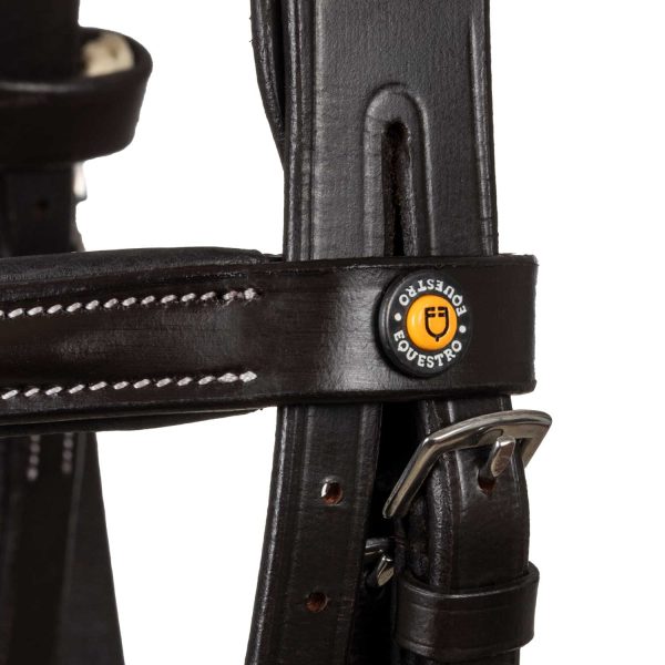 LOGO ANATOMIC LEATHER BRIDLE - immagine 15